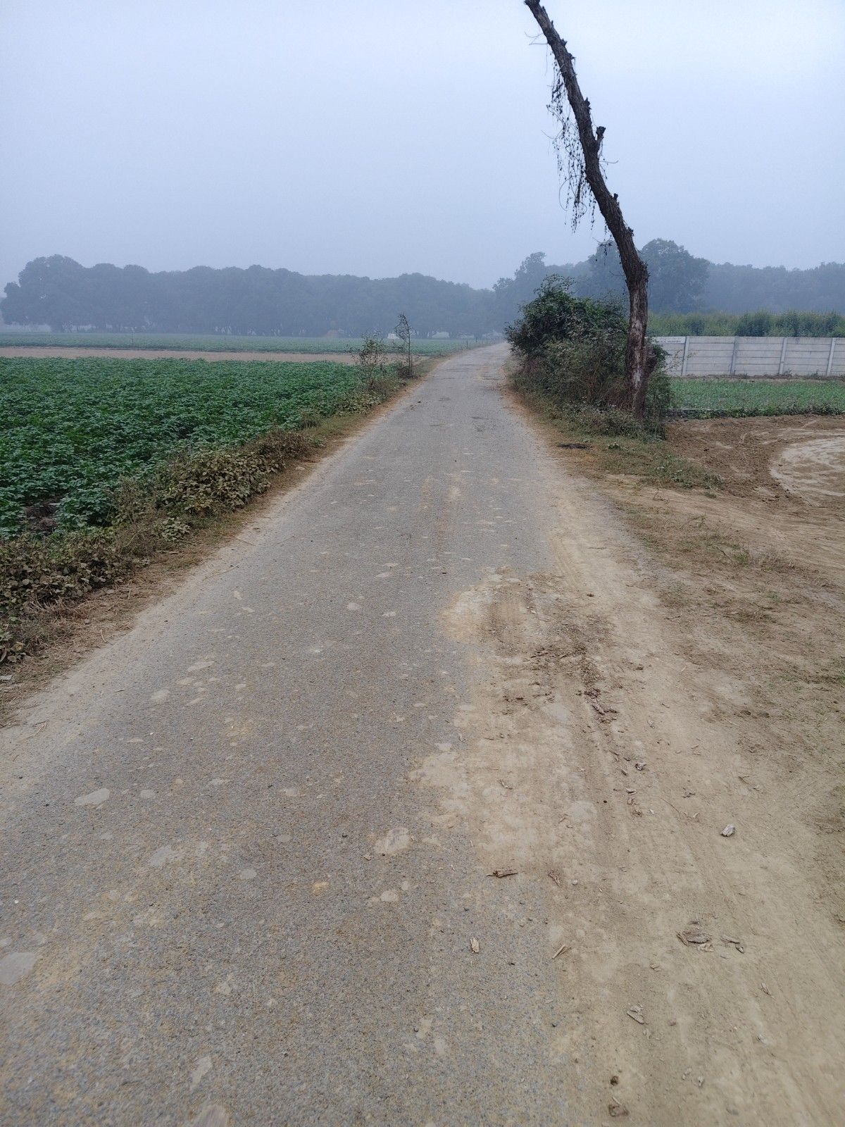 Plot For Sale in Kursi Road Invest