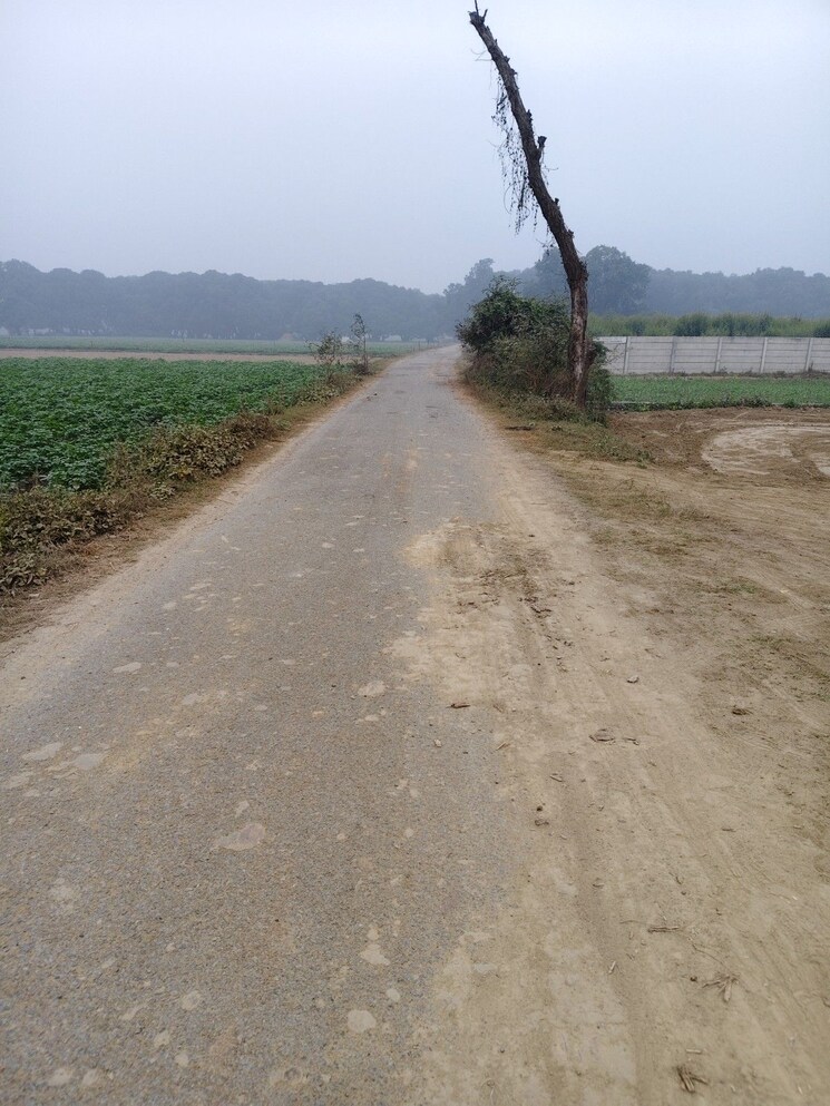 undefined, kursi road  1000 Sq.Ft. Plot In Kursi Road Lucknow 9712784