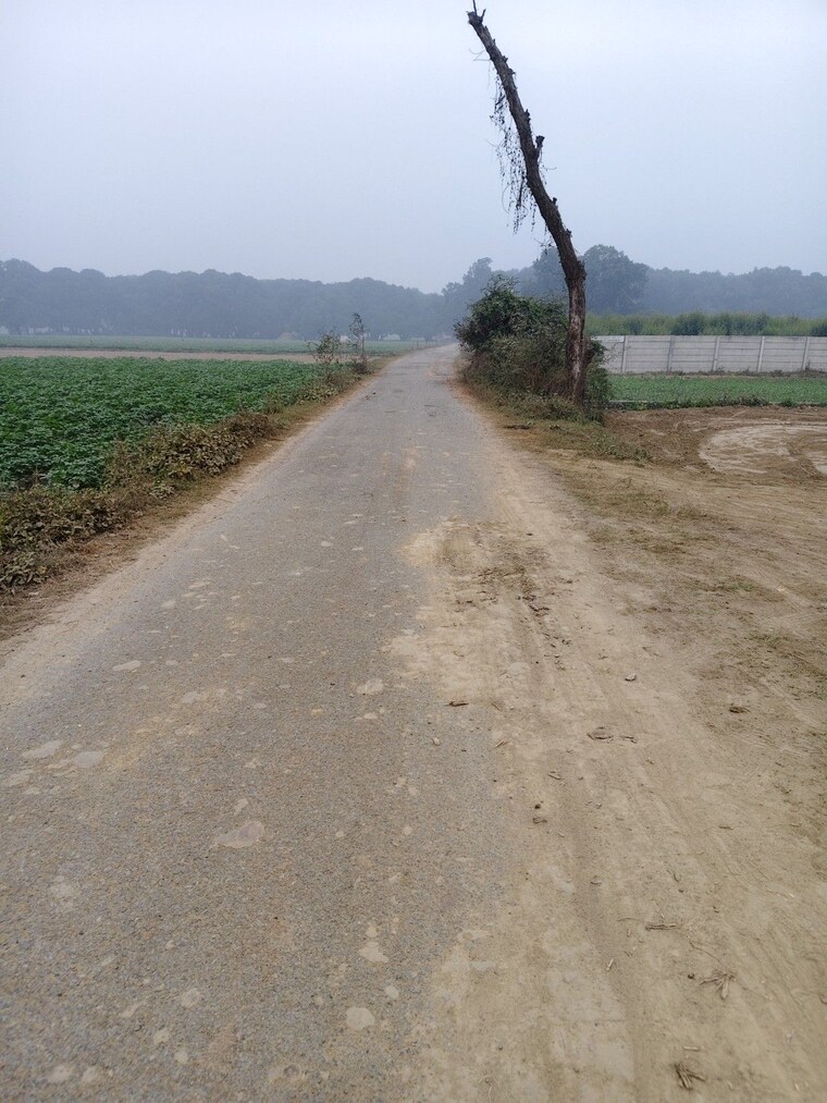 undefined, kursi road  1000 Sq.Ft. Plot In Kursi Road Lucknow 9712784