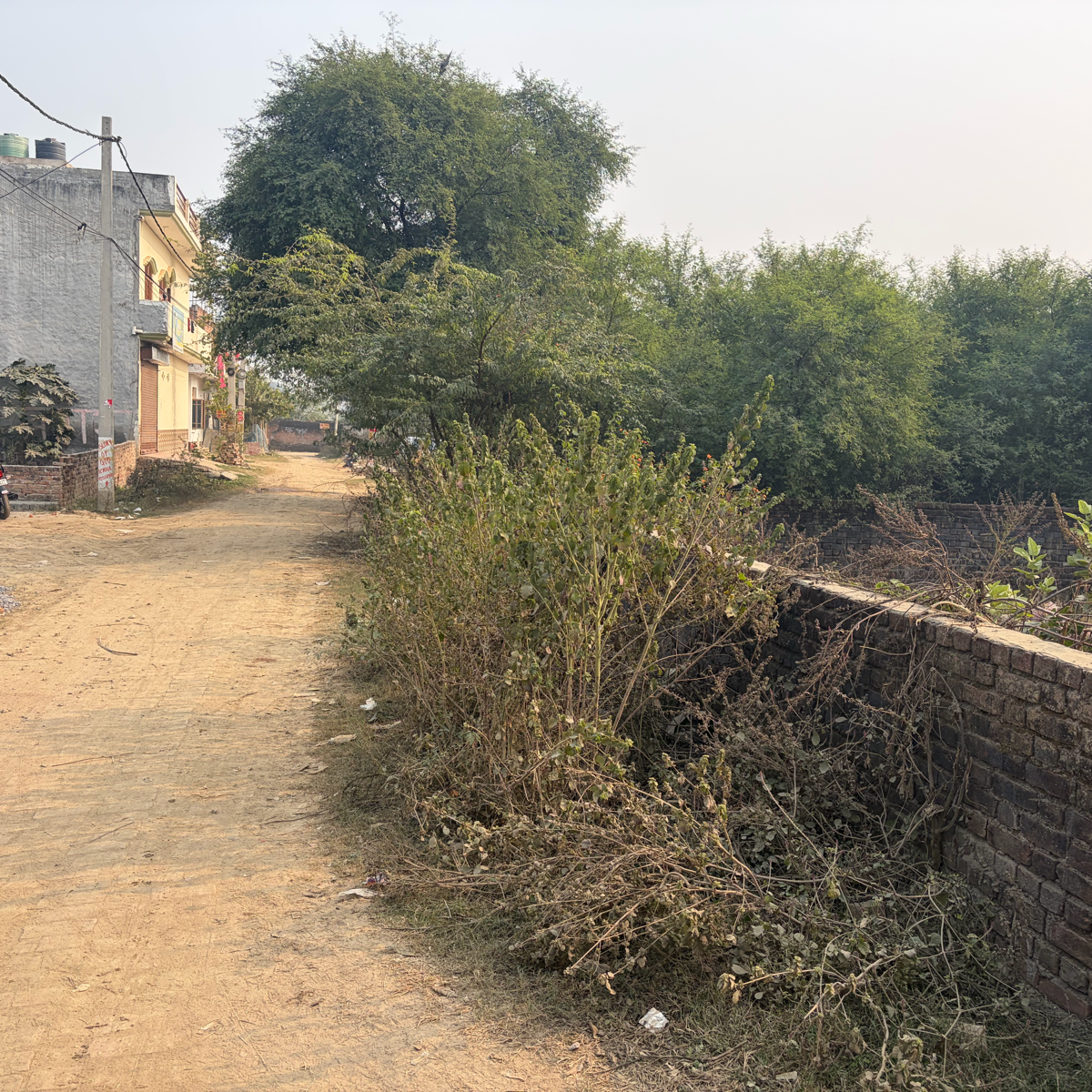 Plot For Sale in Plot Sale Manas Green Cho