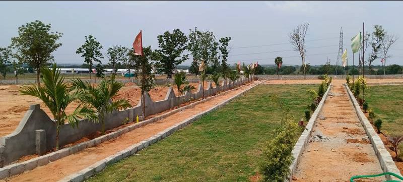 Plot For Sale in Chhatikara
