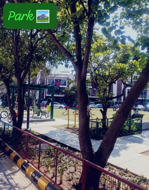 Swimming Pool in 2 BHK Apartment at Orchid Island, Sector 51 – for Rent