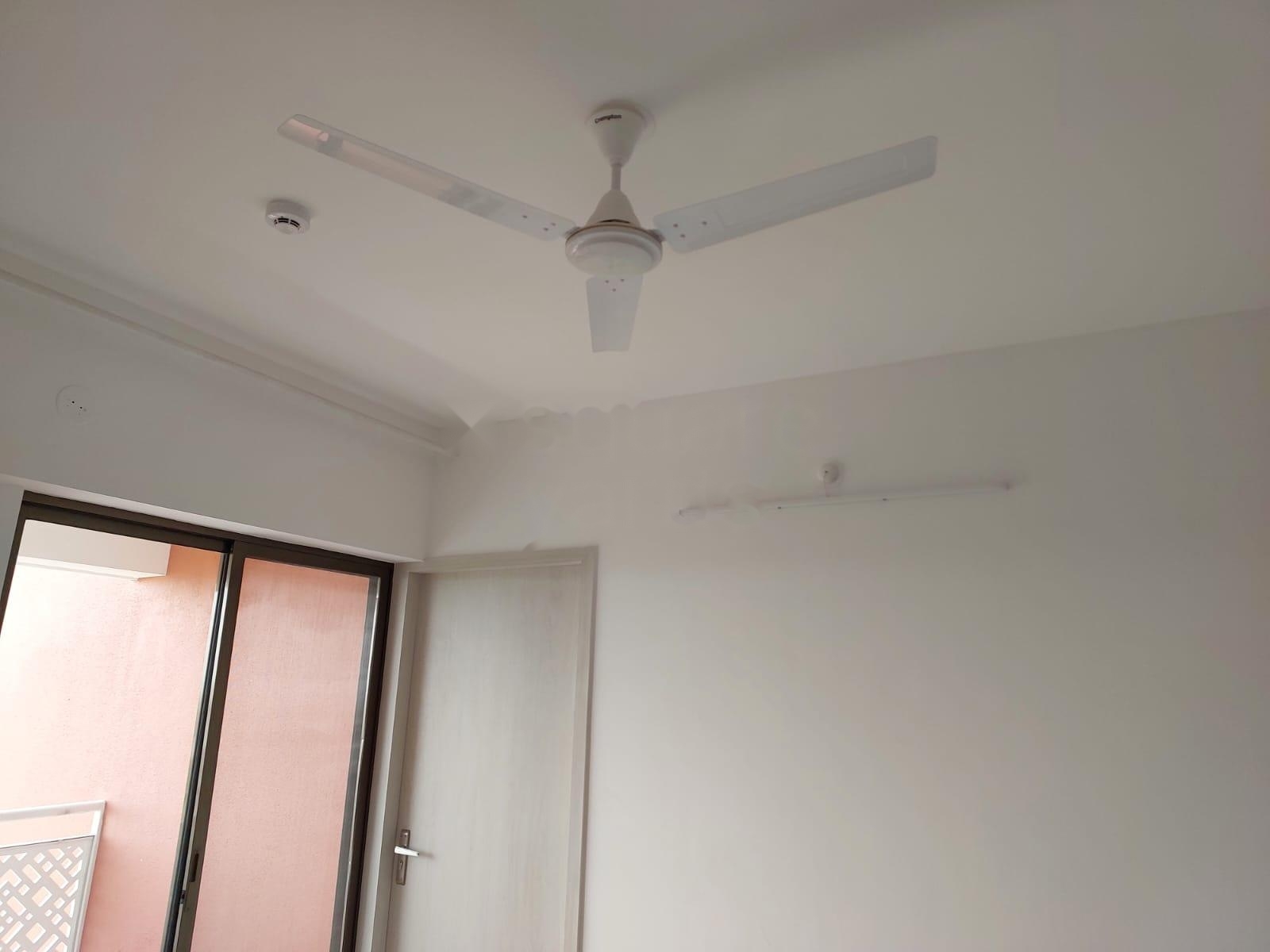 2 BHK Apartment For Rent in Kanifnath Royal Kp Stella