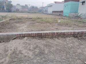  Plot For Sale in Jharoda Kalan