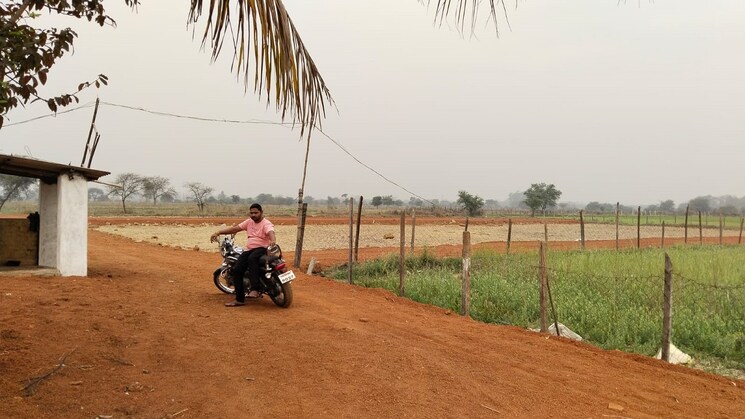 undefined, amleshwar  2650 Sq.Ft. Plot In Amleshwar Raipur 9714429