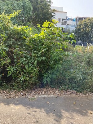 Plot Area in  Plot at Banashankari – for Sale