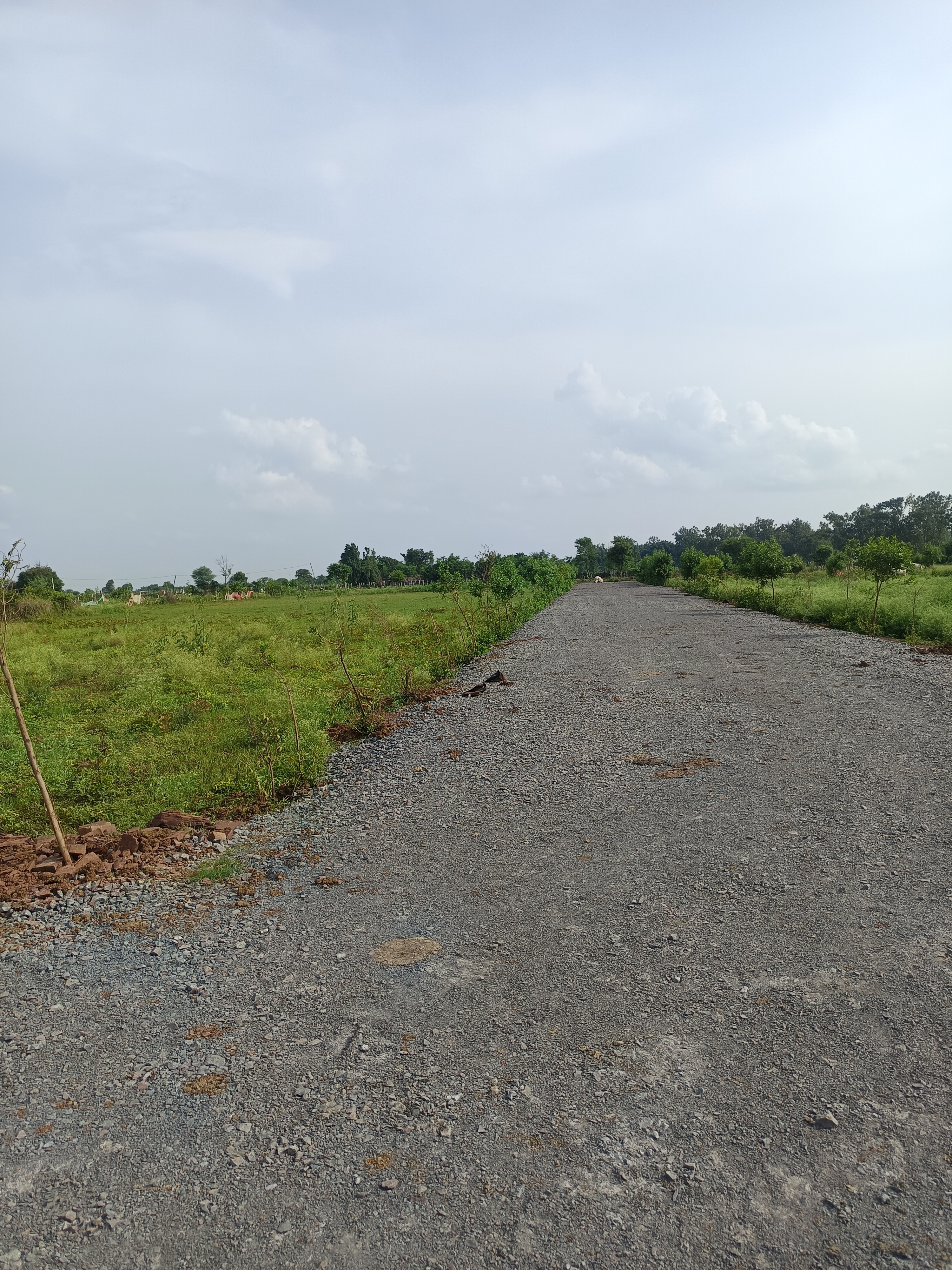 Plot For Sale in Sejbahar