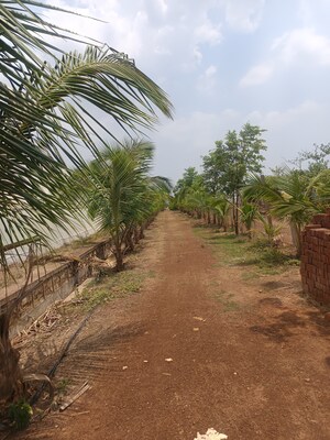  Plot – Exterior View View at Sejbahar - for Sale