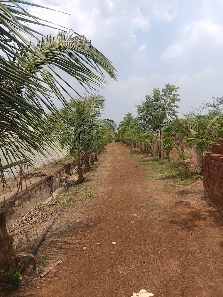 Exterior View, sejbahar  6160 Sq.Ft. Plot In Sejbahar Raipur 9715422