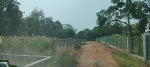 Plot Area in  Plot at Nellikunnu – for Sale