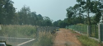 Plot Area in  Plot at Nellikunnu – for Sale