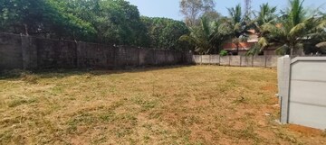  Plot For Sale in Nellikunnu