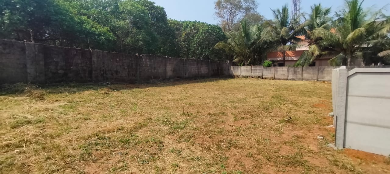 Plot For Sale in Nellikunnu