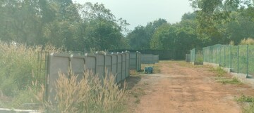 Plot Area in  Plot at Nellikunnu – for Sale