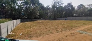 Plot Area in  Plot at Nellikunnu – for Sale