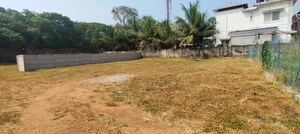 Plot Area in  Plot at Nellikunnu – for Sale