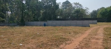 Plot Area in  Plot at Nellikunnu – for Sale