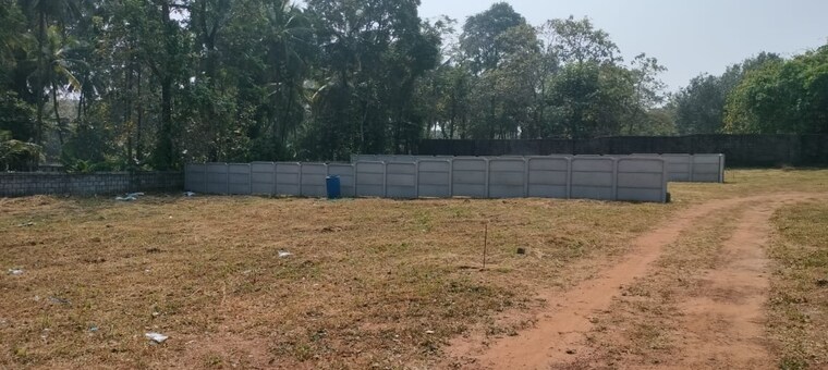 undefined, nellikunnu  3267 Sq.Ft. Plot In Nellikunnu Thrissur 9715990