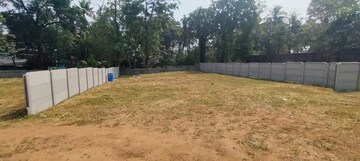 Plot Area in  Plot at Nellikunnu – for Sale