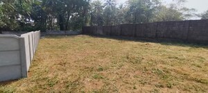 Plot Area in  Plot at Nellikunnu – for Sale