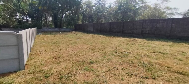 undefined, nellikunnu  3267 Sq.Ft. Plot In Nellikunnu Thrissur 9715990