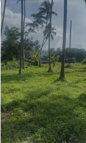  Plot – Garden View at Cheroor - for Sale