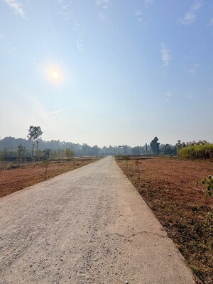 Plot Area in  Plot at Badripur – for Sale