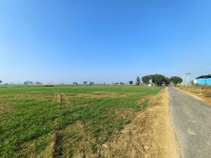  Land For Sale in Pataudi