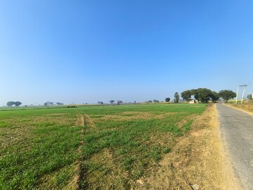 Plot Area in  Land at Pataudi – for Sale