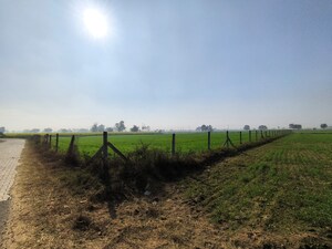 Plot Area in  Land at Pataudi – for Sale