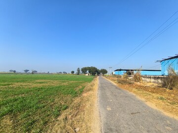Plot Area in  Land at Pataudi – for Sale