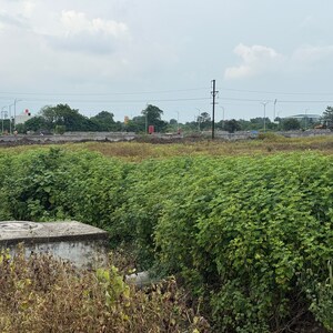 Plot Area in  Plot at Wathoda – for Sale