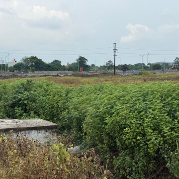 Plot Area in  Plot at Wathoda – for Sale