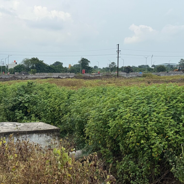 undefined, wathoda  6000 Sq.Ft. Plot In Wathoda Nagpur 9717978