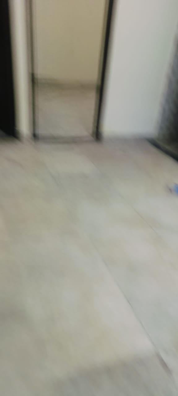 1 BHK Builder Floor For Rent in Chattarpur