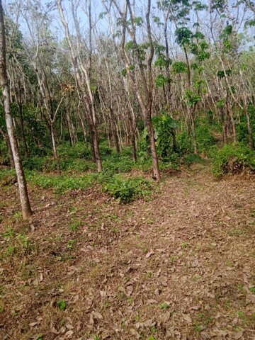  Land For Sale in Moodabidiri
