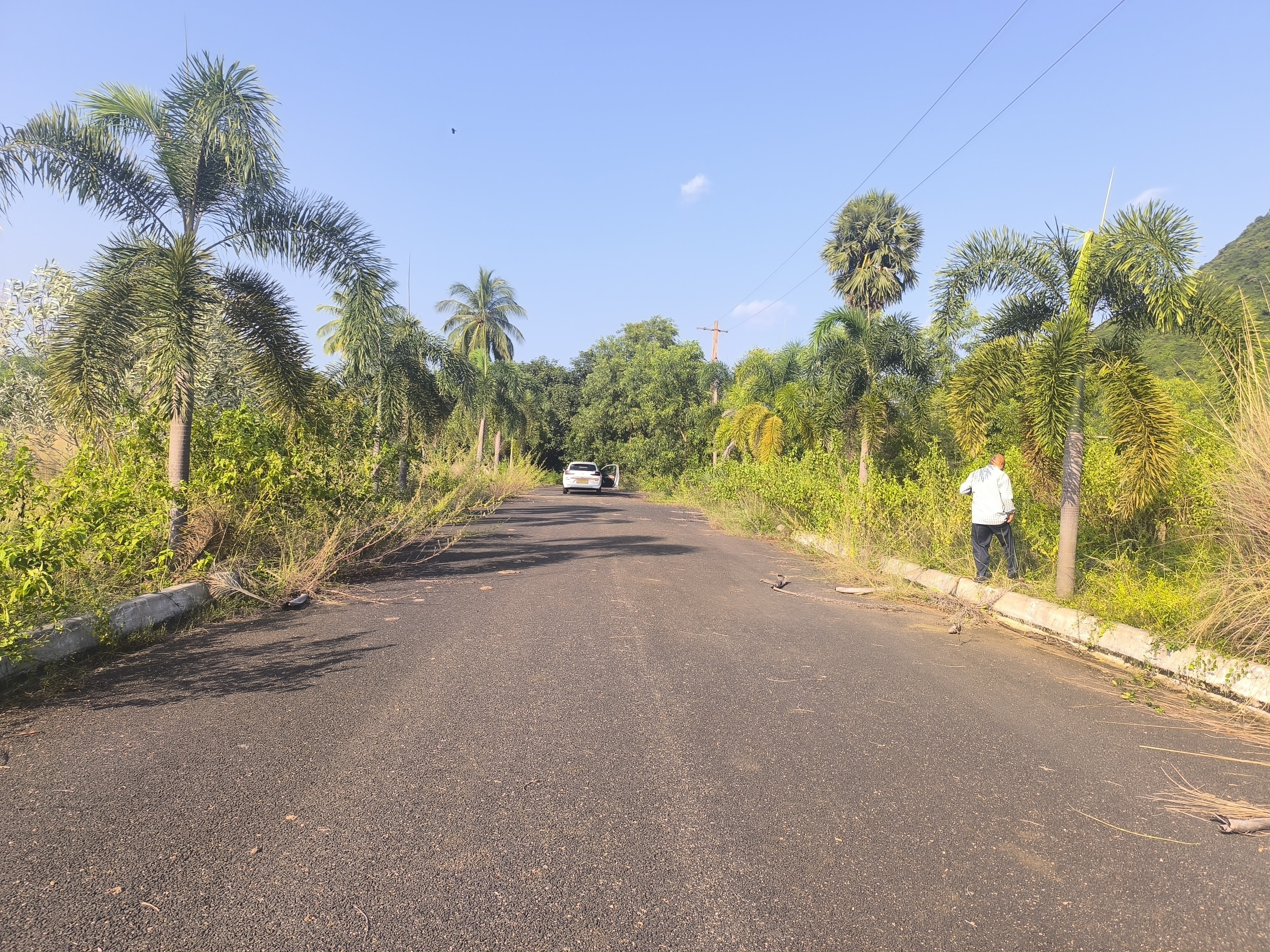 Plot For Sale in Anandapuram