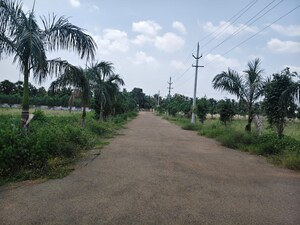  Land For Sale in Bhogapuram