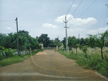 Plot Area in  Land at Bhogapuram – for Sale