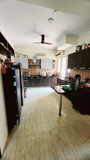 Kitchen in 2 BHK Apartment at Dasnac The Jewel, Sector 75 – for Rent