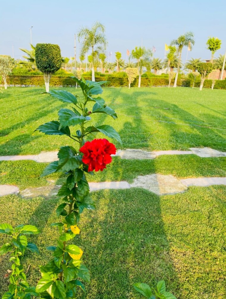 Garden, wing-lucknow-greens-plots  1800 Sq.Ft. Plot In Sultanpur Road Lucknow 9719033