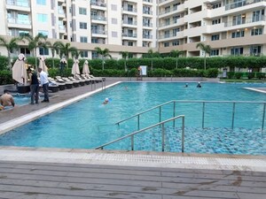 Swimming Pool in 2 BHK Apartment at Ambience Creacions, Sector 22 – for Rent