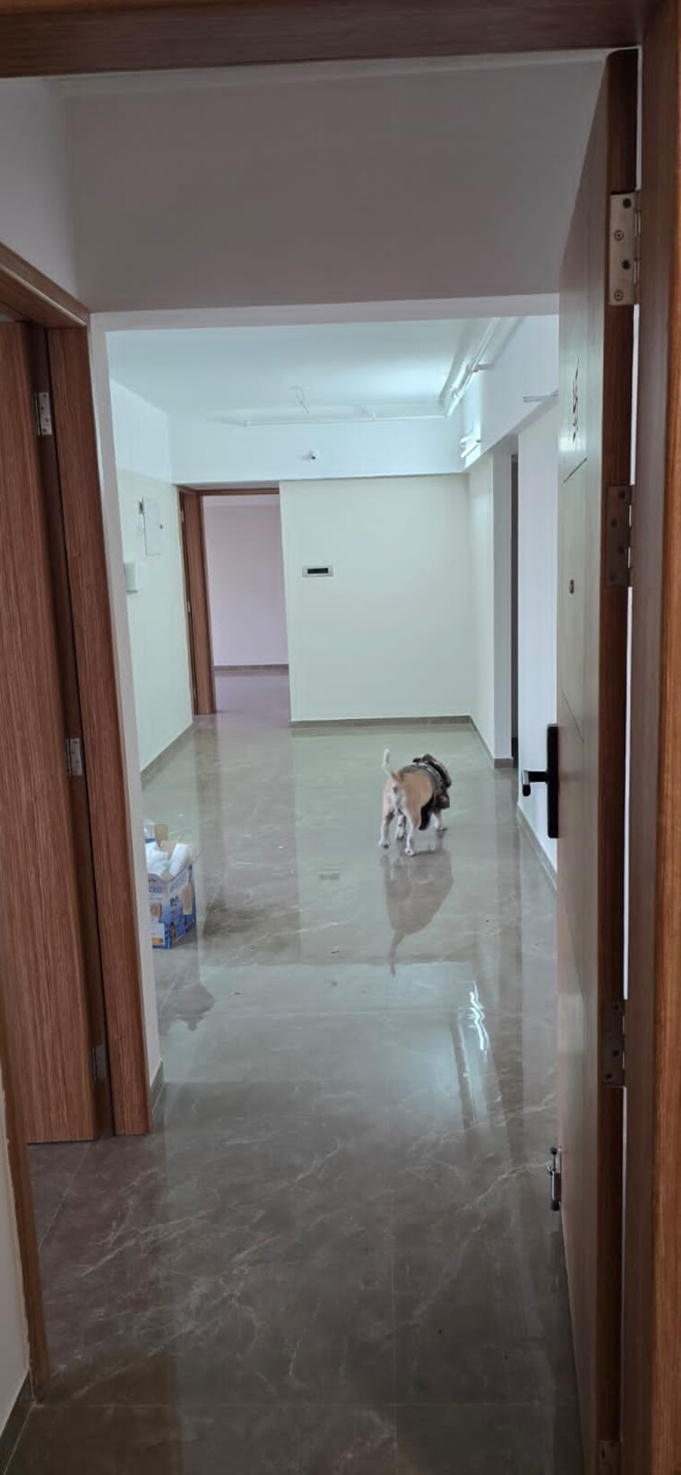 Bathroom, rachana-bella-casa 3 Bedroom 1166 Sq.Ft. Apartment In Baner Pune 9719122