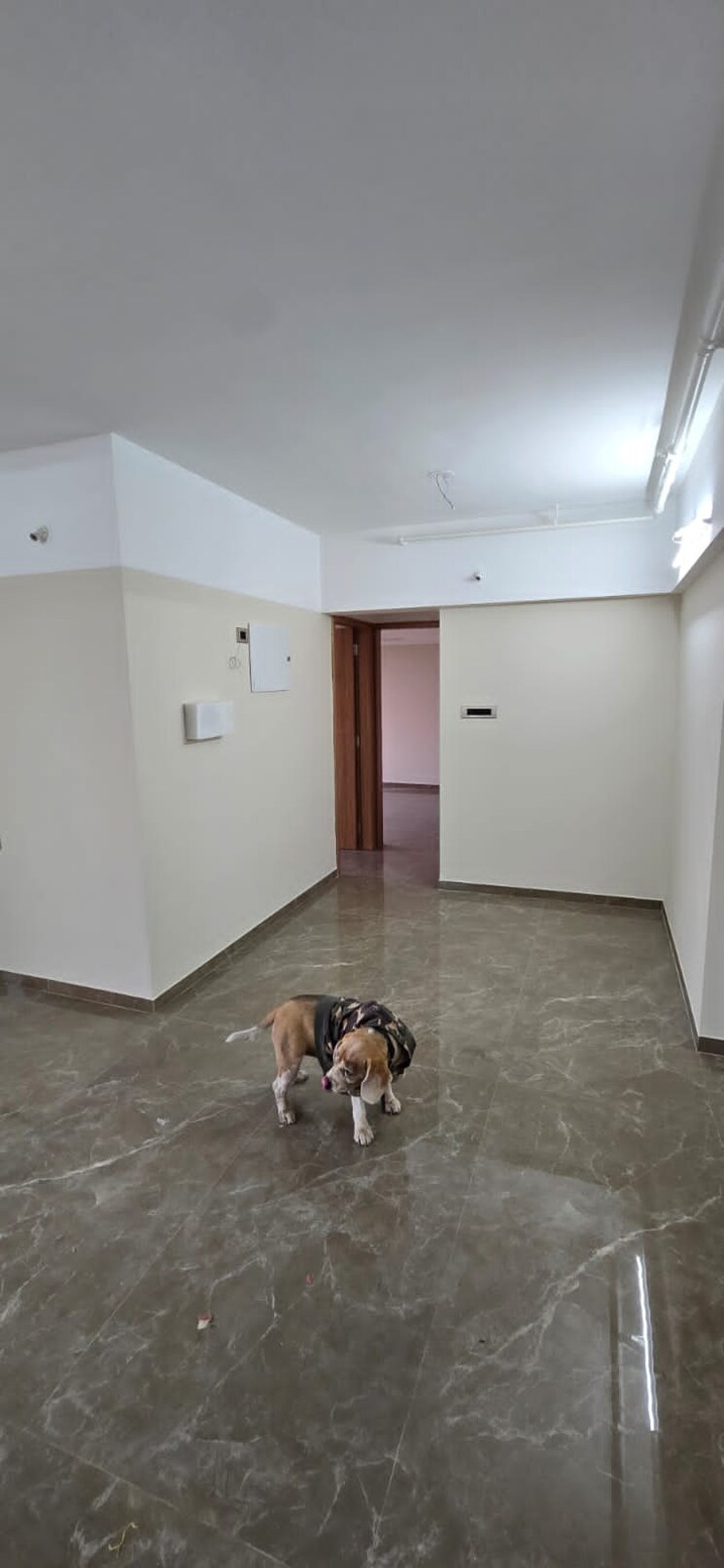 Room, rachana-bella-casa 3 Bedroom 1166 Sq.Ft. Apartment In Baner Pune 9719122