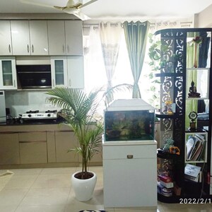 Gym in 1 BHK Apartment at AVL 36 Gurgaon, Sector 36a – for Rent