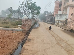  Plot – Exterior View View at Sultanpur - for Sale