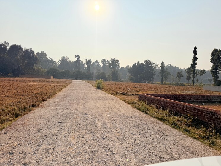 undefined, badripur  224 Sq.Yd. Plot In Badripur Dehradun 9719506