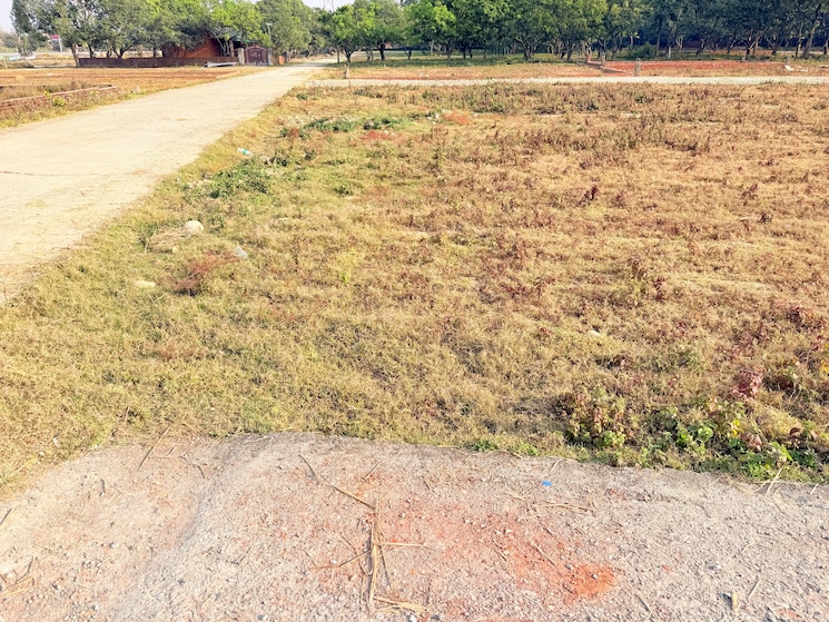 undefined, badripur  225 Sq.Yd. Plot In Badripur Dehradun 9719515