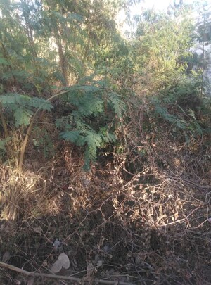 Plot Area in  Plot at Banjara Hills – for Sale