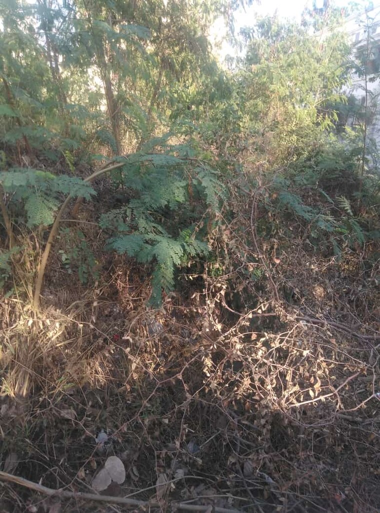 undefined, banjara hills  850 Sq.Yd. Plot In Banjara Hills Hyderabad 9719624